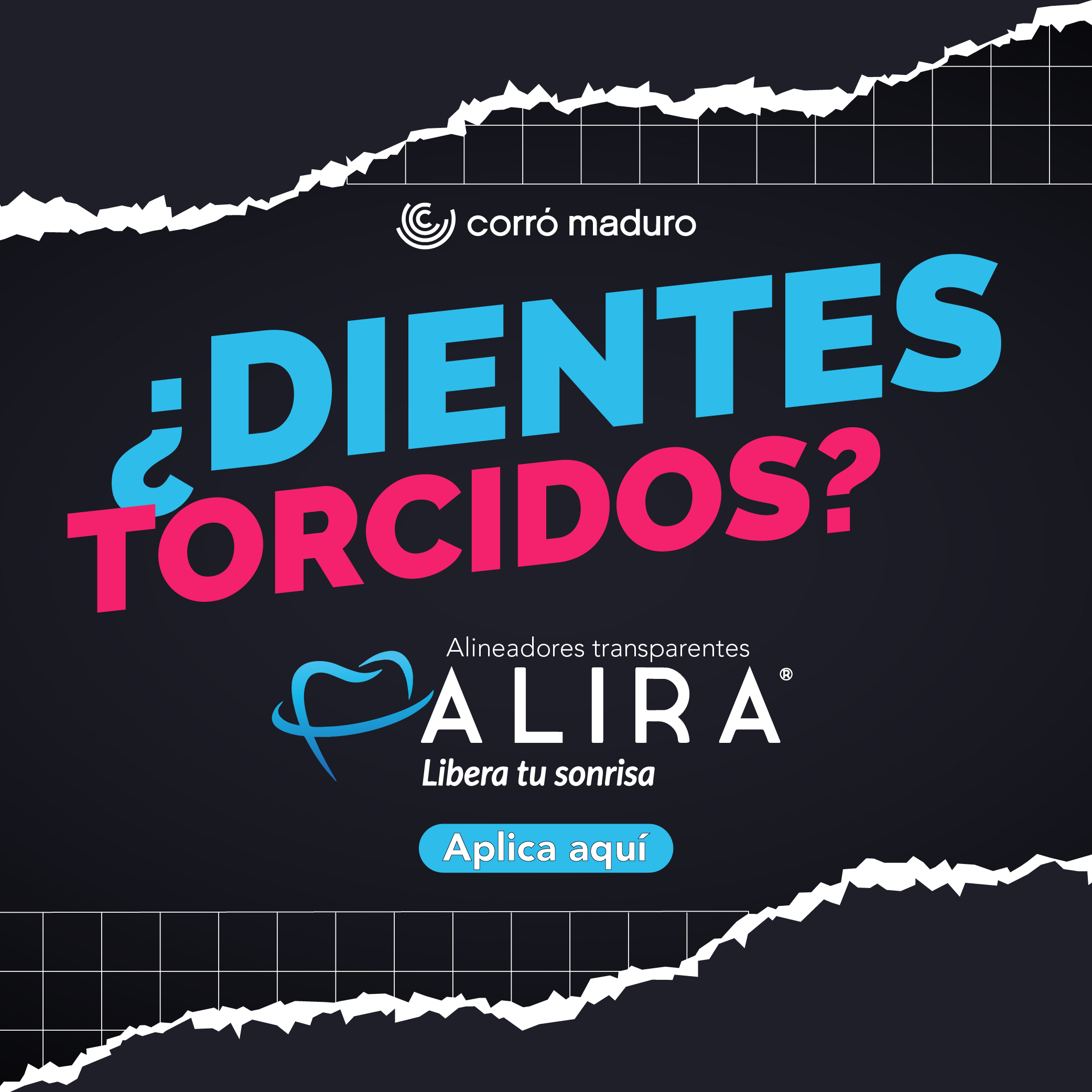 Alira WordPress